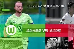 易游体育直播团队-沃尔夫斯堡连胜后止步，球队需继续努力的简单介绍
