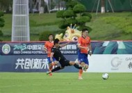 易游体育官网-南京蓝鹏客场大胜甘肃全兴，提升积分榜排名的简单介绍