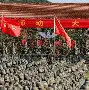 备战状态被公开揭露,备战进程备受争议 备战状态被公开揭露,备战进程备受争议